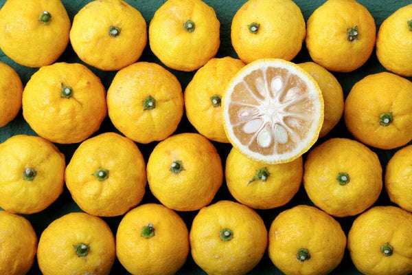 Fresh picked Yuzu
