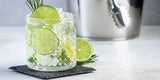 Dehydrated Limes