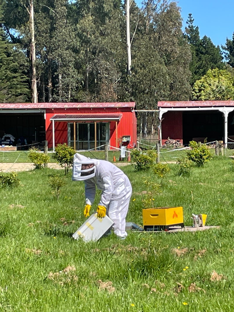 Checking for Yuzu honey
