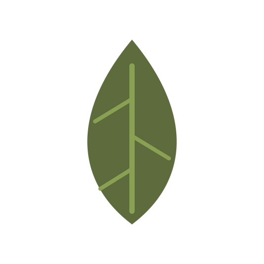 Fresh Yuzu Leaves
