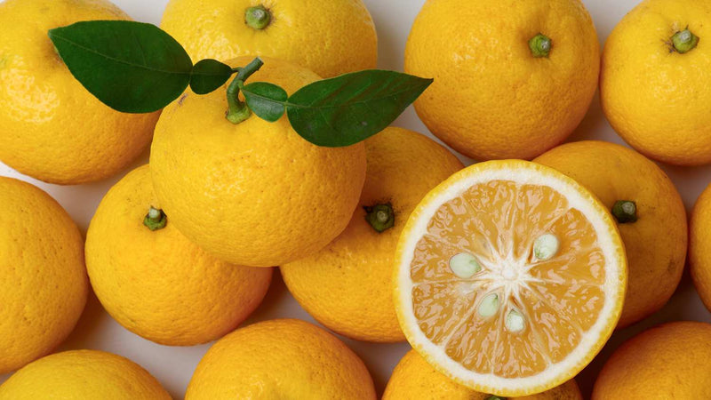 Yuzu